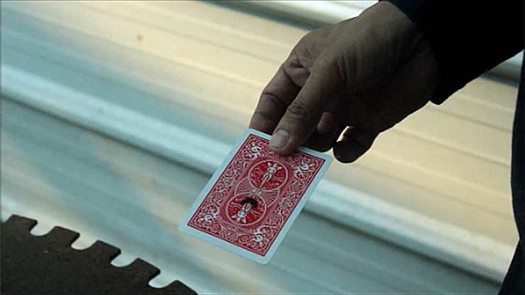 https://www.murphysmagicsupplies.com/images/65998-thumb.png