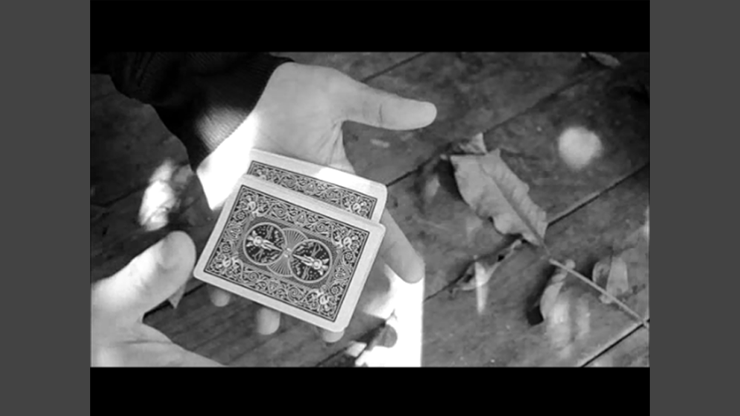 https://www.murphysmagicsupplies.com/images/69415-thumb.png