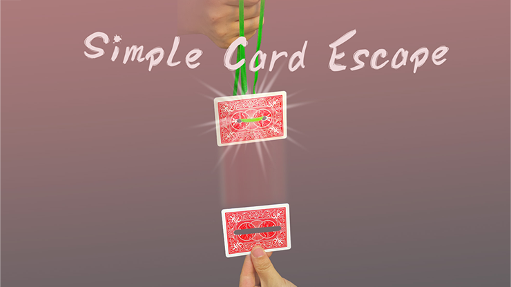 https://www.murphysmagicsupplies.com/images/77164-thumb.png