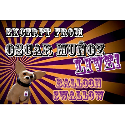 https://www.murphysmagicsupplies.com/images/dvballoonswaloscar-thumb.png