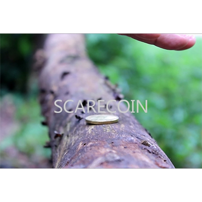 https://www.murphysmagicsupplies.com/images/dvscarecoin-thumb.png